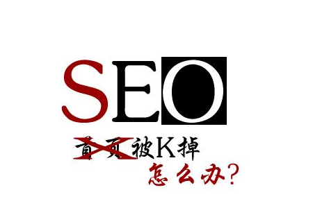 企业网站优化越来越难做之网站被K怎么办-深圳诺仁